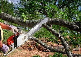 Best Soil Testing and Treatment  in Antioch, CA