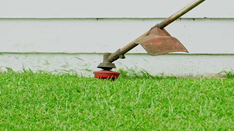 How Our Tree Care Process Works  in  Antioch, CA